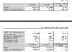 苏宁易购上半年营收936.06亿元 零售云加盟店新开1381家